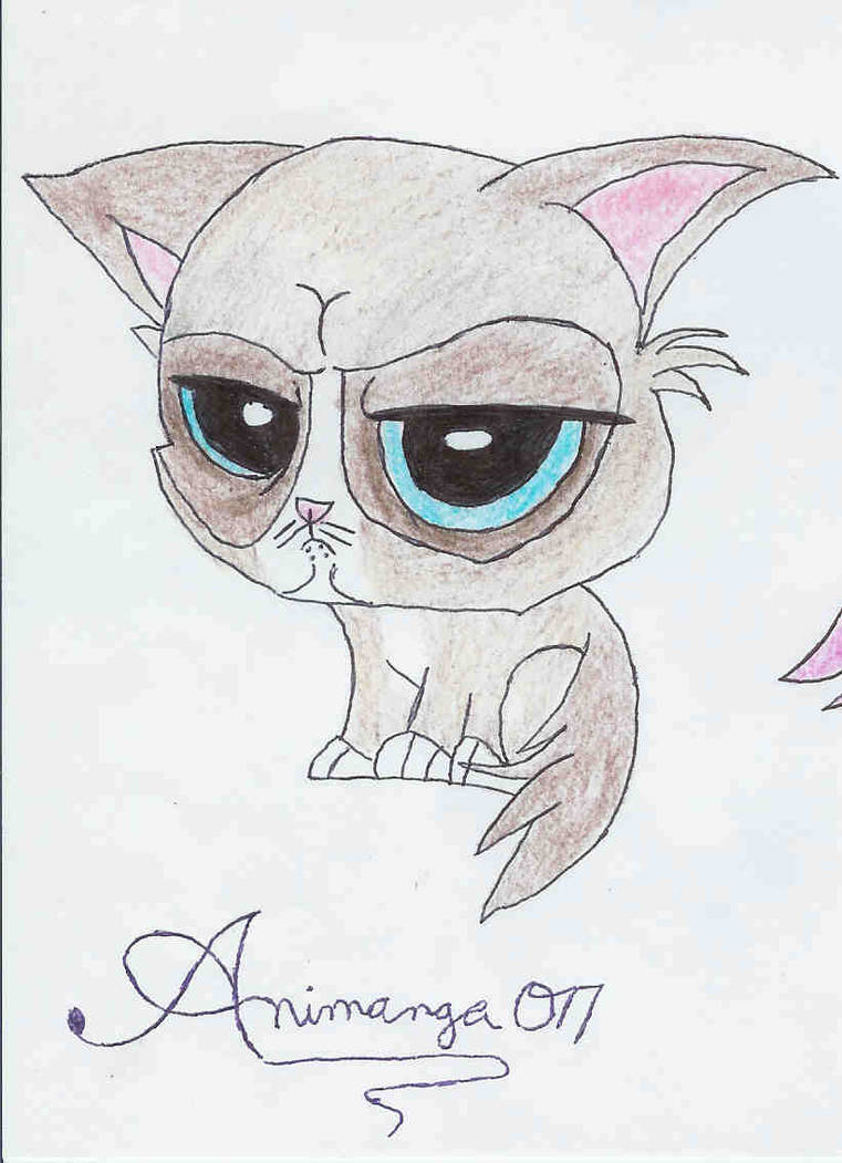 Grumpy Chibi Faces Chibi Grumpy Cat by Animanga077 on DeviantArt