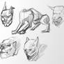 Ware Wolf Head Concepts