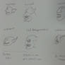 Evolution of character faces