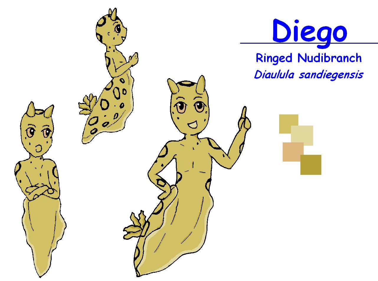 Diego the Nudi Mer