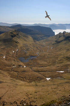 Fly high in Faroese