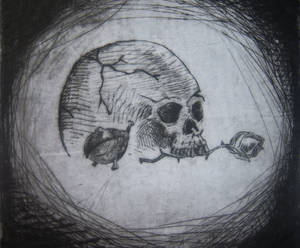 Skull