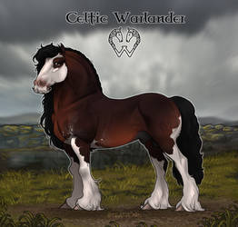 Premade Import | ART SALE