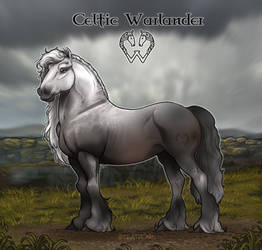 Premade Import | ART SALE 0012