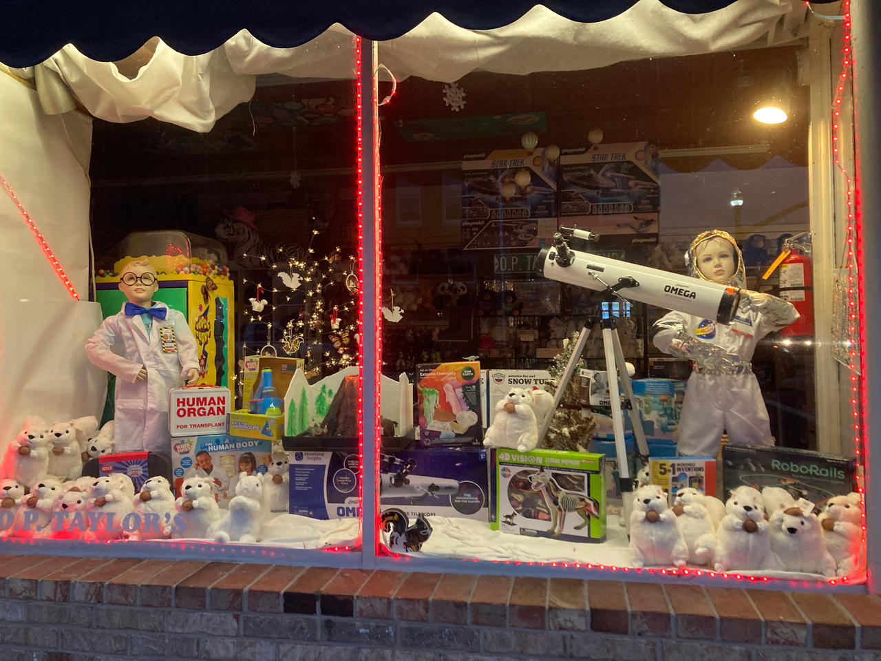 Kid science Window Display by TwilightLadyLuna on DeviantArt