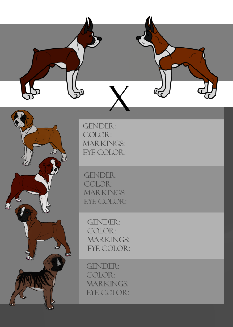Boxer online dog hunting