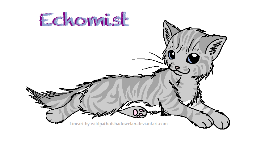 Echomist Of StarClan