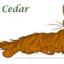 Cedar Of ShadeClan