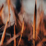 Fading Away