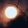 Summer's Last Breath