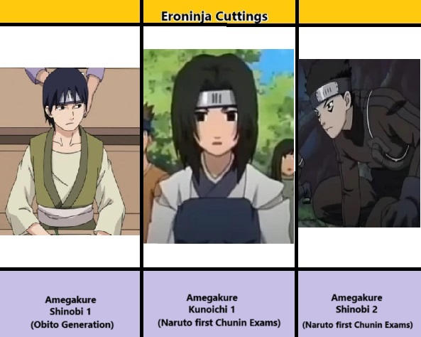 Ecron Inj Eroninja Cutting Amegakure Ninja 1 by Zweig01 on DeviantArt