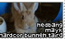 Tired headbang Bunny
