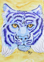 aceo card Blue tiger