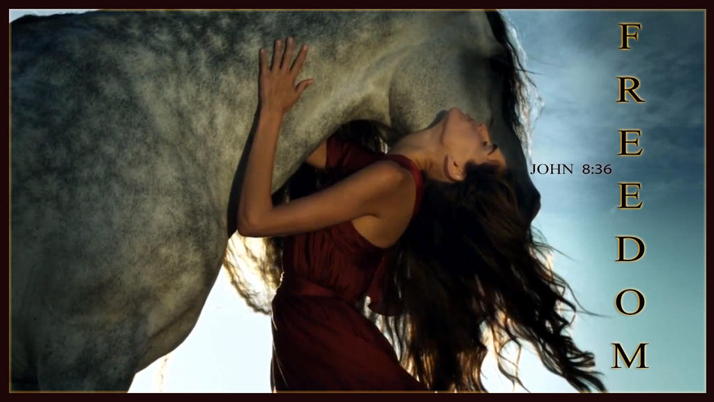 Девушка лошадь клип. Девушка на лошади в пустыне. Красивые клипы. Лошадь и девушка неповторимая.