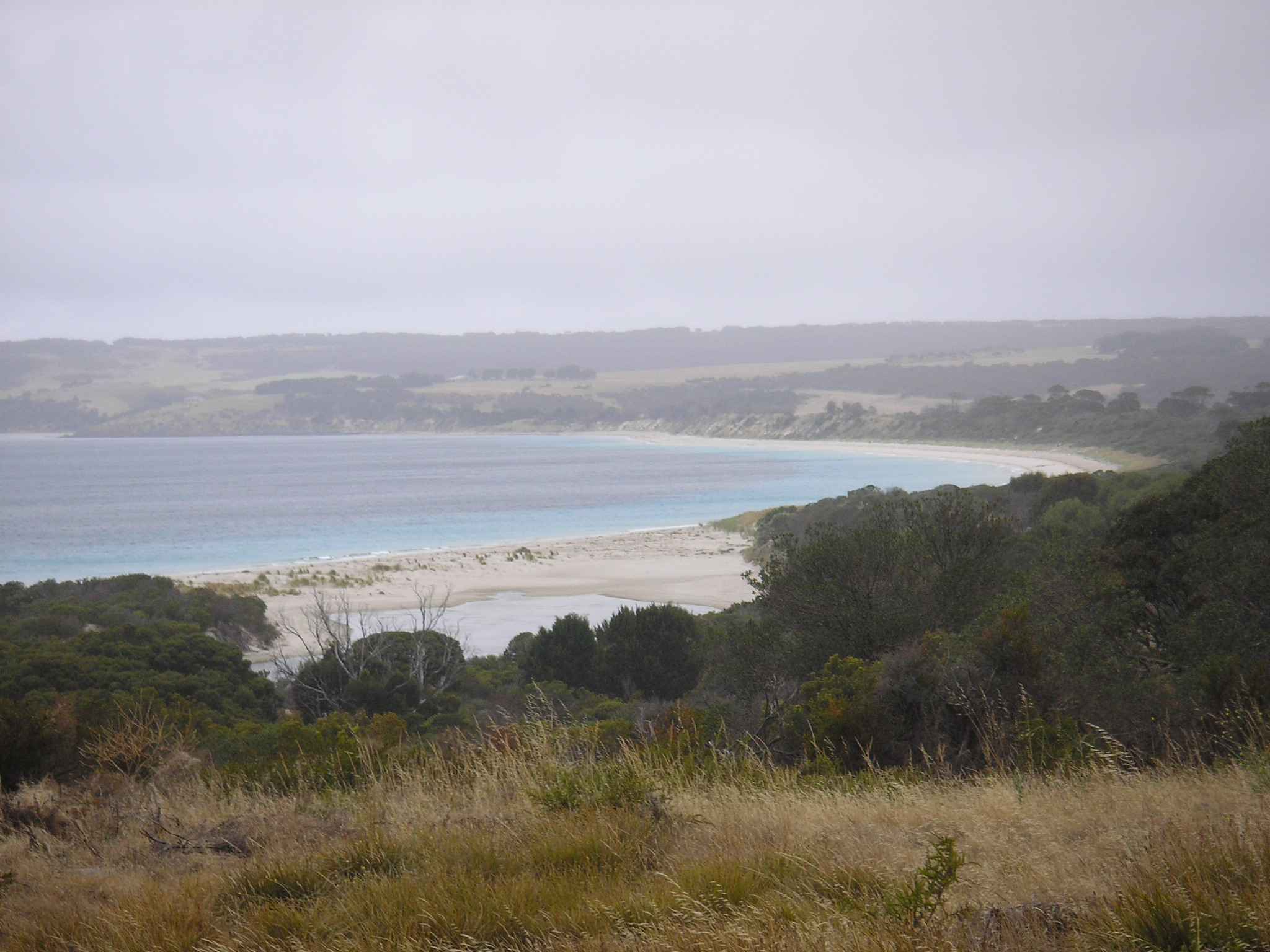 Chapman and Antechamber Bay