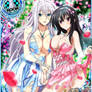 DxD Card Rossweisse and. Raynare