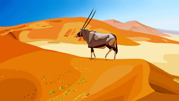 Photo study - Oryx