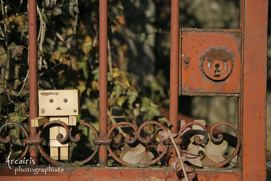 Through the gate