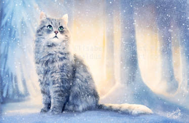 Cat in winter wonderland