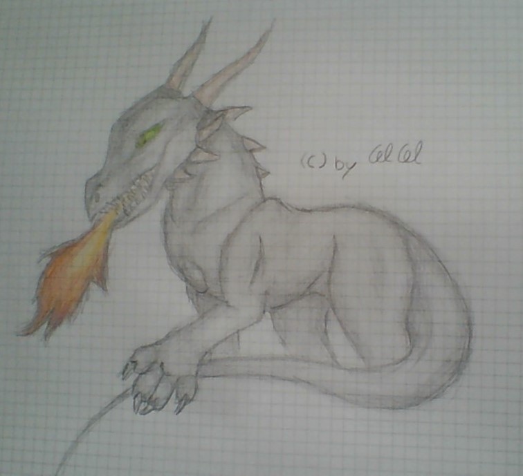 Schwarzer Drache / Black Dragon