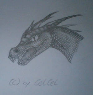 2. Drachenkopf / 2. Dragonhead