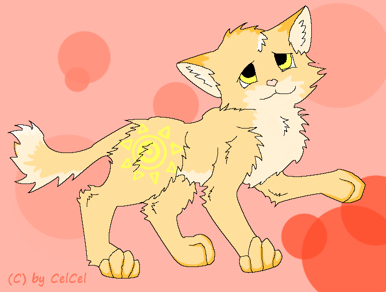 Sonnenkatze adoptable (open)