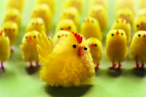 Chicken Army
