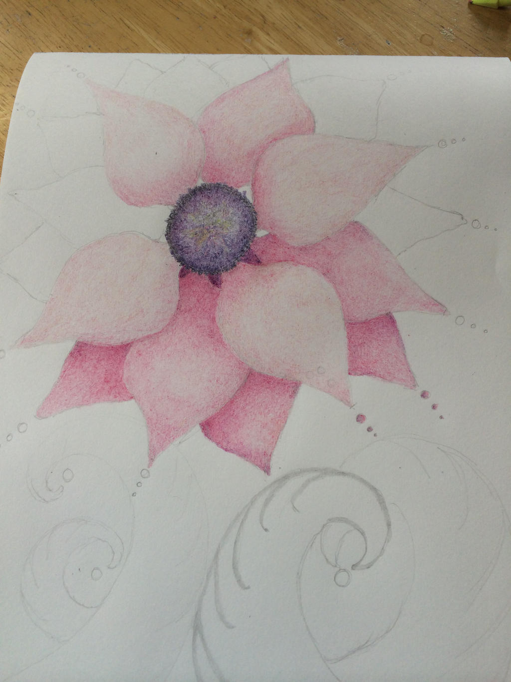 Flower Drawing 2