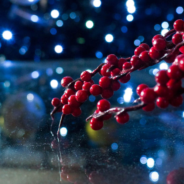 Berry Bokeh Christmas