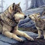 Wolf and Wolf Jr.