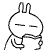 bunneh icon16