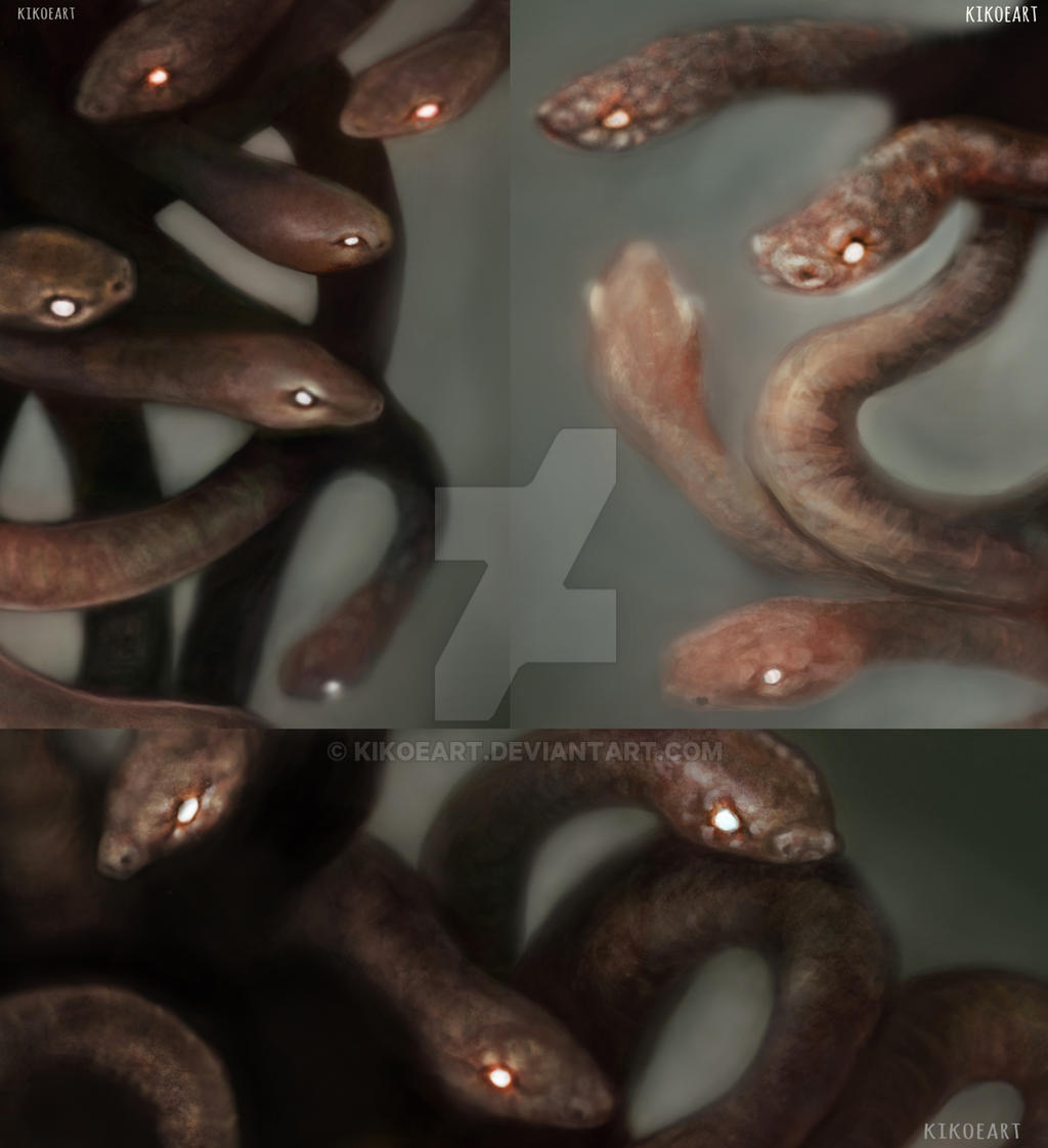 Close Up - Medusa's Hair Snakes