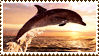 Dolphin Stamp by NoNamepje