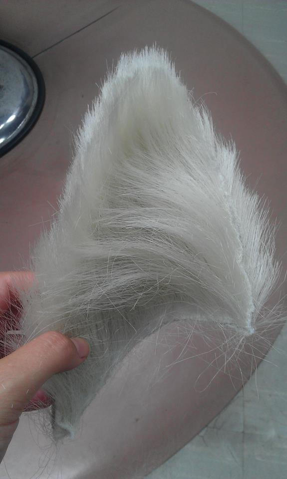 Guide: Realistic Animal Ears by netherdenstudio on DeviantArt