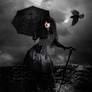 Back to Black
