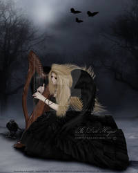 The Black Harpist by babsartcreations