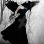 Black Feather