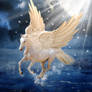 Pegasus