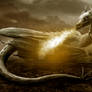 Dragon Love