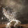 Sorrow