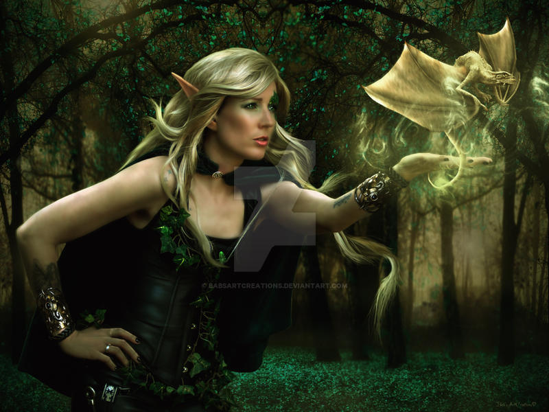 Dragon Elf