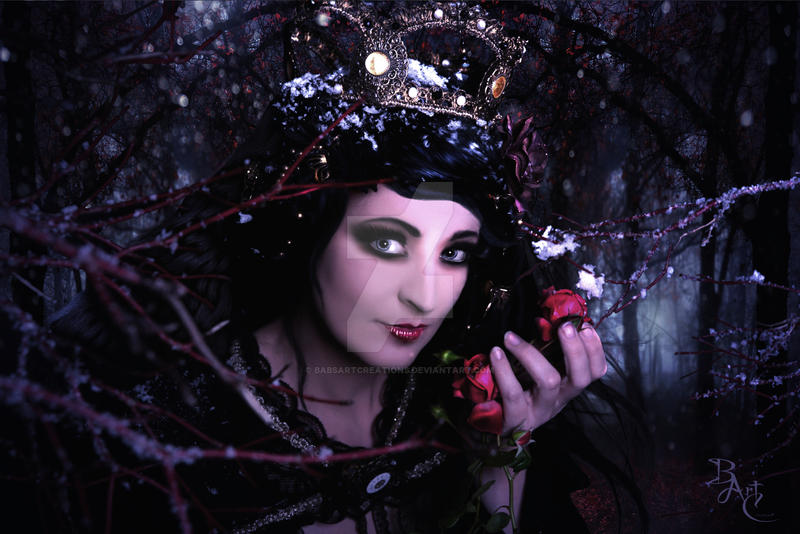 Winter Rose by babsartcreations Winter Rose by babsartcreations