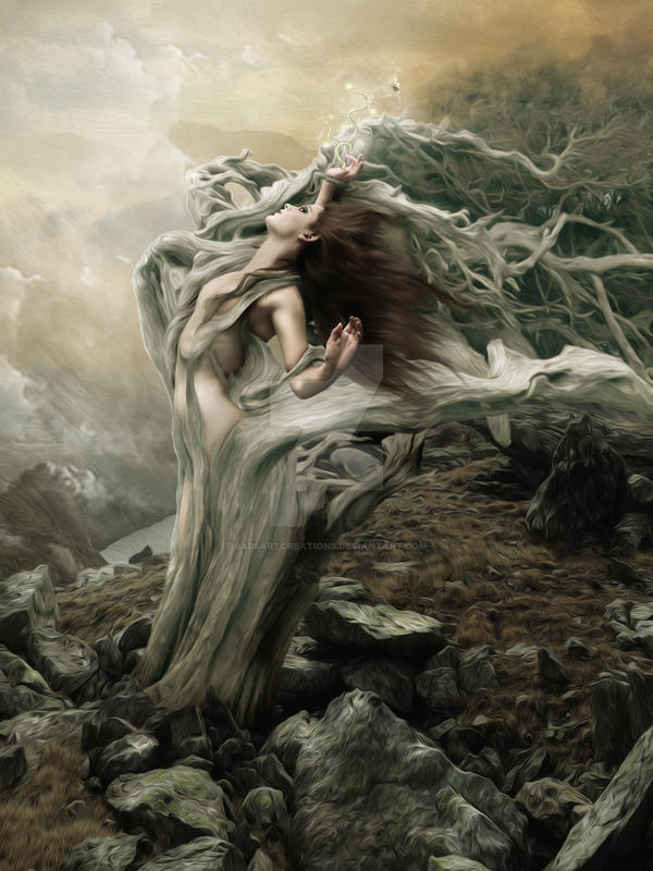 Surrender to the destination of the wind