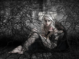 Don't touch my heart