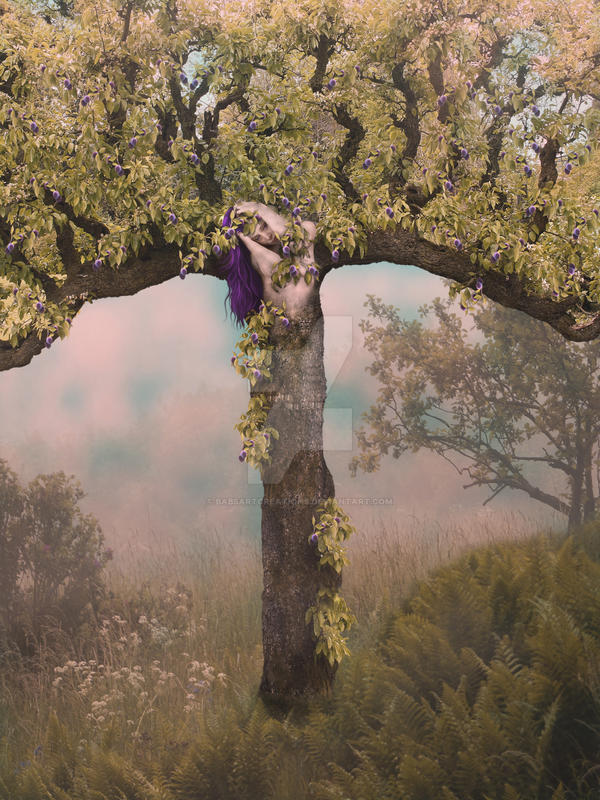 Plum