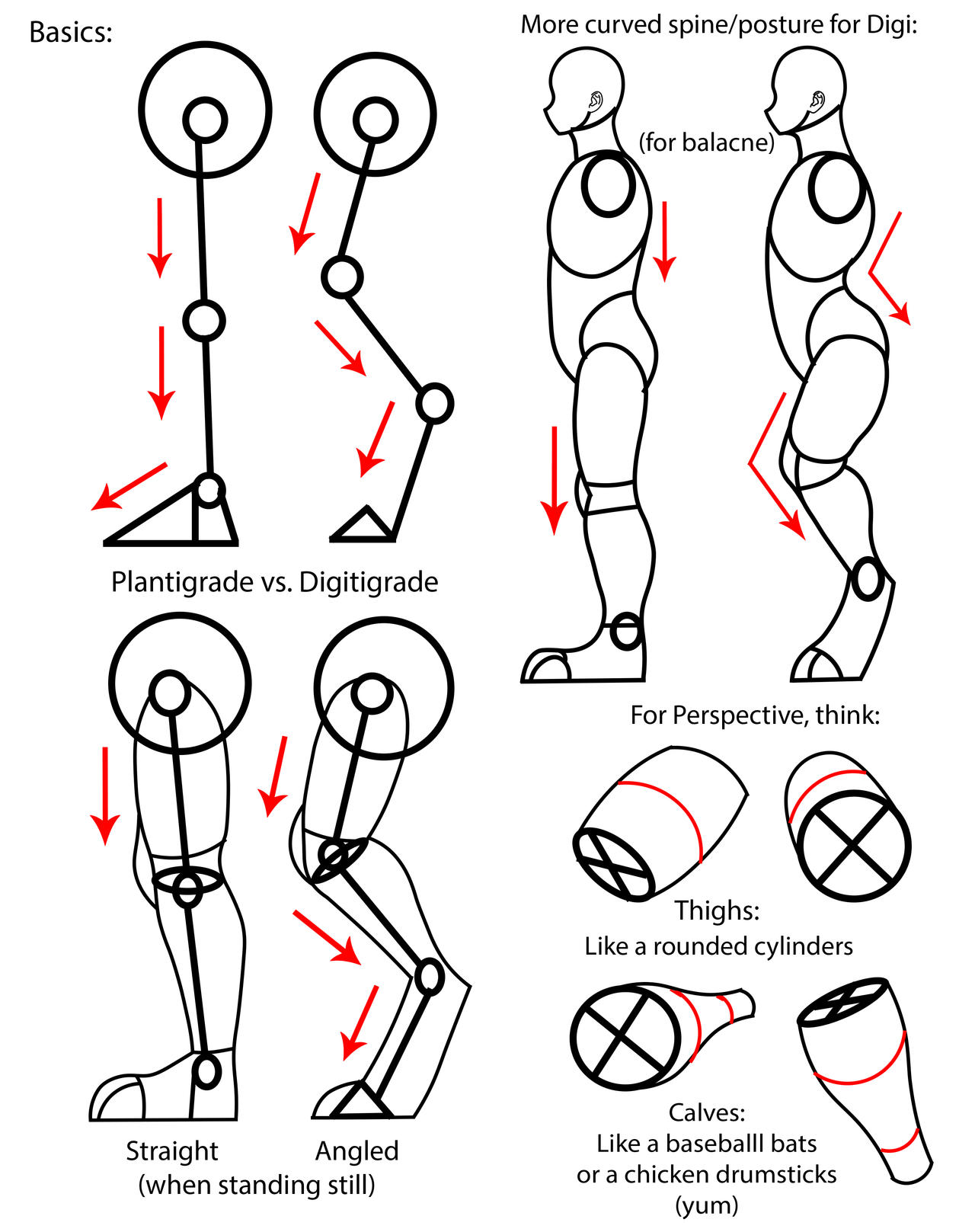 Plantigrade and Digitigrade Legs by IvanksMS on DeviantArt