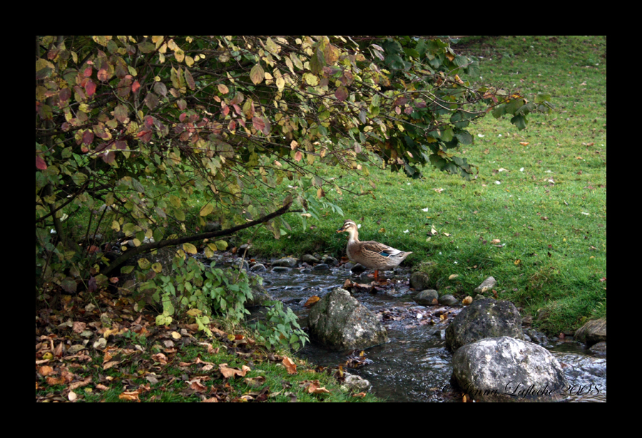 the smell of autumn.