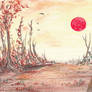Last sun