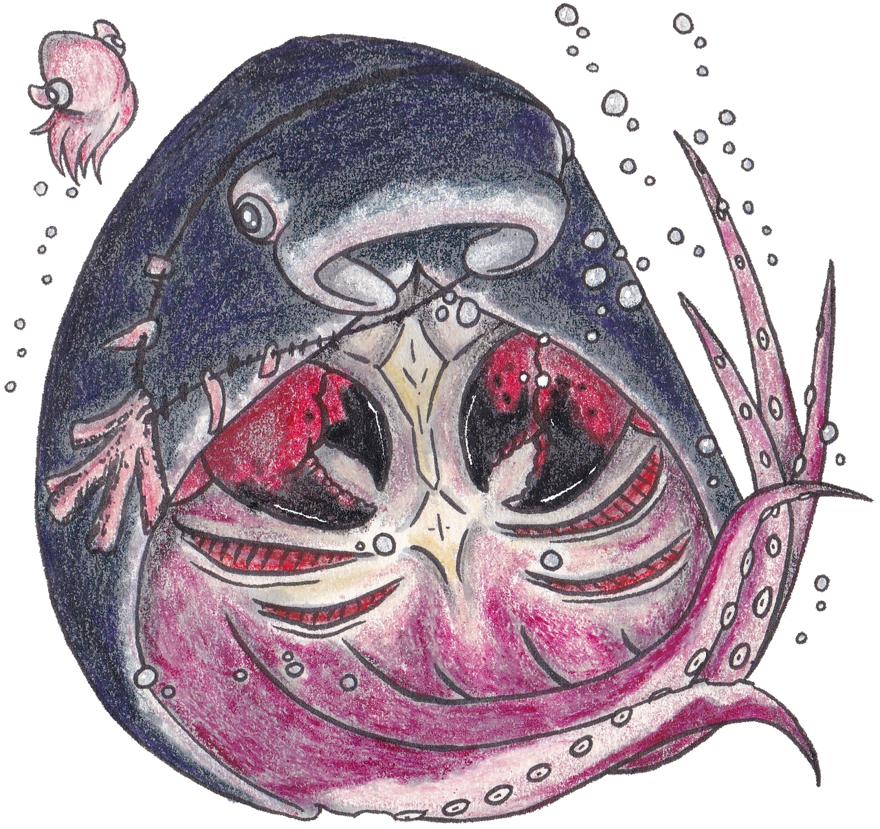 Ocean Fey