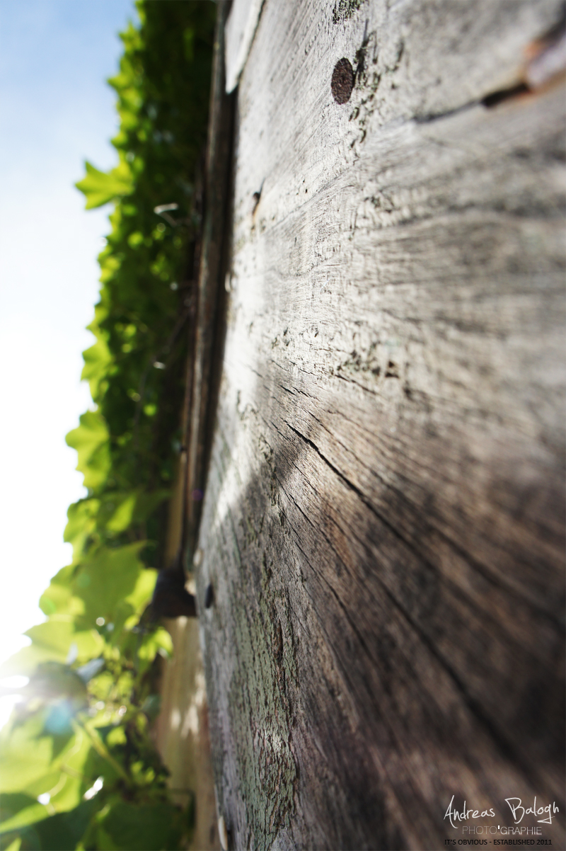 The wooden path to the beautiful light